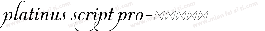 platinus script pro字体转换